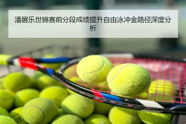 潘展乐世锦赛前分段成绩提升自由泳冲金路径深度分析