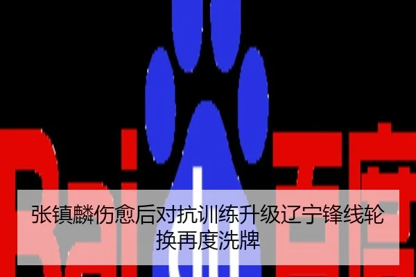 张镇麟伤愈后对抗训练升级辽宁锋线轮换再度洗牌