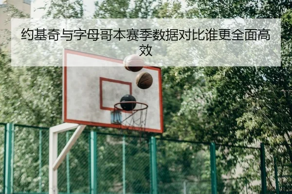 约基奇与字母哥本赛季数据对比谁更全面高效